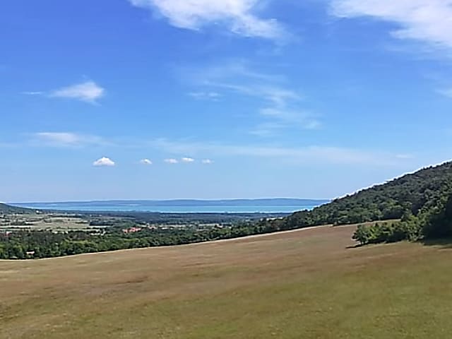 Balaton-felvidéki birtok, saját erdei forrással eladó